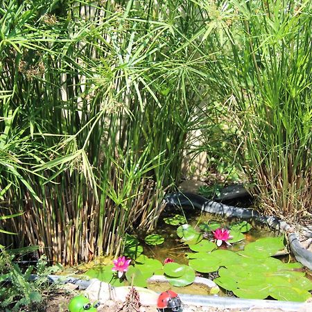 Le Mas Cothy En Provence Roquemaure  Eksteriør bilde